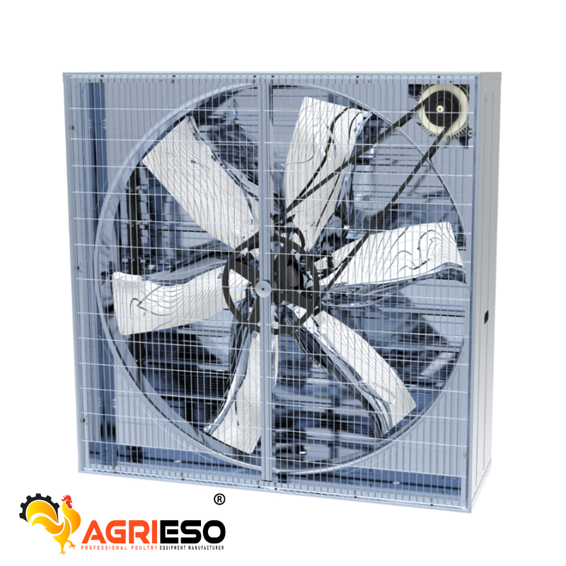 Centrifugal Exhaust Box Fans